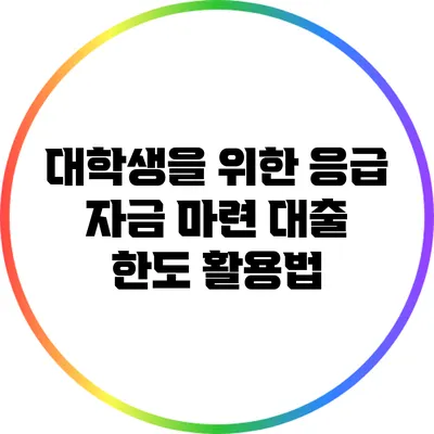대학생을 위한 응급 자금 마련: 대출 한도 활용법
