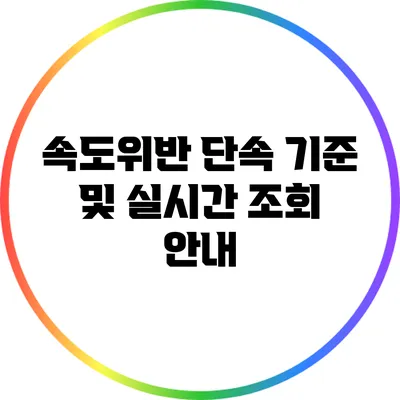 속도위반 단속 기준 및 실시간 조회 안내