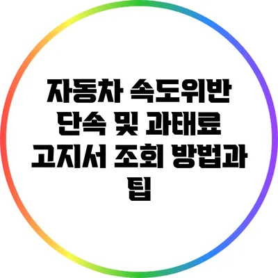 자동차 속도위반 단속 및 과태료 고지서 조회 방법과 팁
