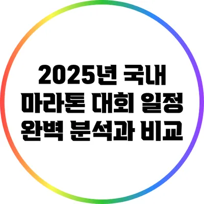 2025년 국내 마라톤 대회 일정 완벽 분석과 비교