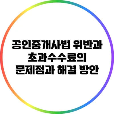 공인중개사법 위반과 초과수수료의 문제점과 해결 방안
