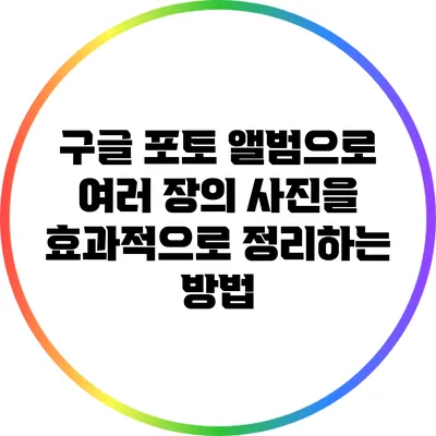 구글 포토 앨범으로 여러 장의 사진을 효과적으로 정리하는 방법