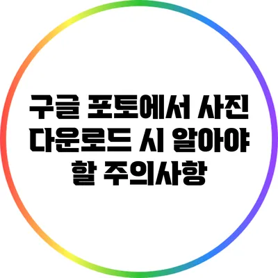 구글 포토에서 사진 다운로드 시 알아야 할 주의사항