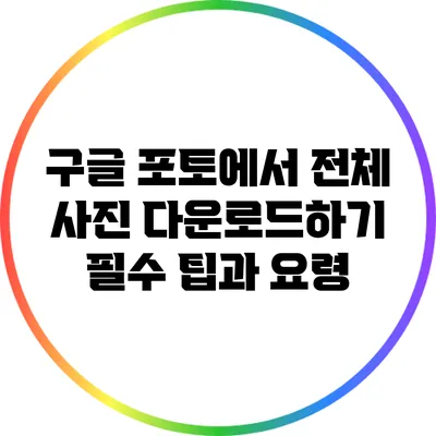 구글 포토에서 전체 사진 다운로드하기: 필수 팁과 요령