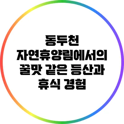 동두천 자연휴양림에서의 꿀맛 같은 등산과 휴식 경험