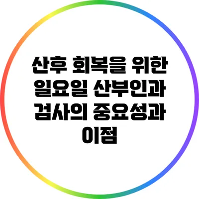 산후 회복을 위한 일요일 산부인과 검사의 중요성과 이점
