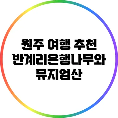 원주 여행 추천: 반계리은행나무와 뮤지엄산
