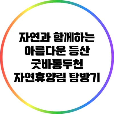 자연과 함께하는 아름다운 등산: 굿바동두천 자연휴양림 탐방기