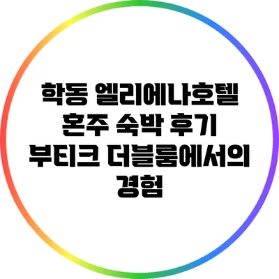 학동 엘리에나호텔 혼주 숙박 후기: 부티크 더블룸에서의 경험