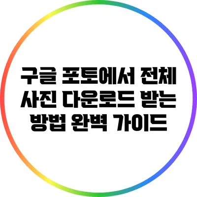 구글 포토에서 전체 사진 다운로드 받는 방법 완벽 가이드
