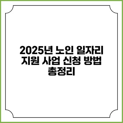2025년 노인 일자리 지원 사업 신청 방법 총정리