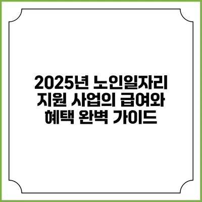 2025년 노인일자리 지원 사업의 급여와 혜택 완벽 가이드