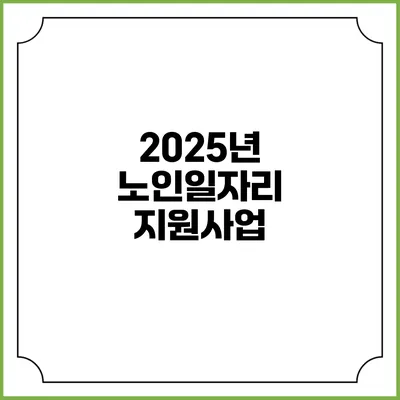 2025년 노인일자리 지원사업