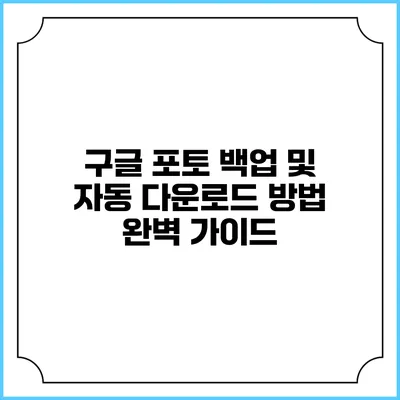 구글 포토 백업 및 자동 다운로드 방법 완벽 가이드