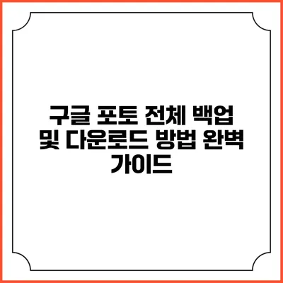 구글 포토 전체 백업 및 다운로드 방법 완벽 가이드