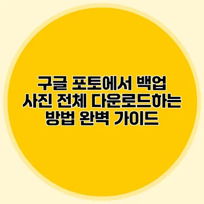 구글 포토에서 백업 사진 전체 다운로드하는 방법 완벽 가이드