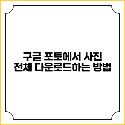 구글 포토에서 사진 전체 다운로드하는 방법