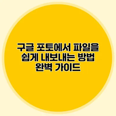 구글 포토에서 파일을 쉽게 내보내는 방법: 완벽 가이드