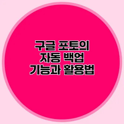 구글 포토의 자동 백업 기능과 활용법