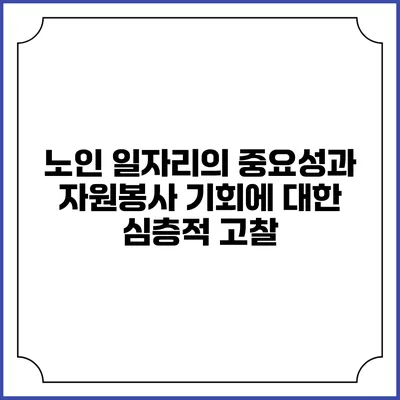 노인 일자리의 중요성과 자원봉사 기회에 대한 심층적 고찰