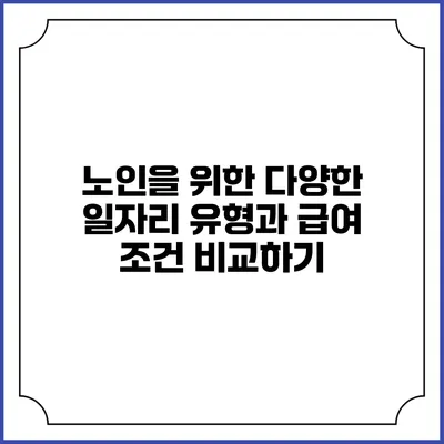 노인을 위한 다양한 일자리 유형과 급여 조건 비교하기