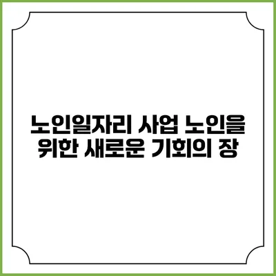 노인일자리 사업: 노인을 위한 새로운 기회의 장