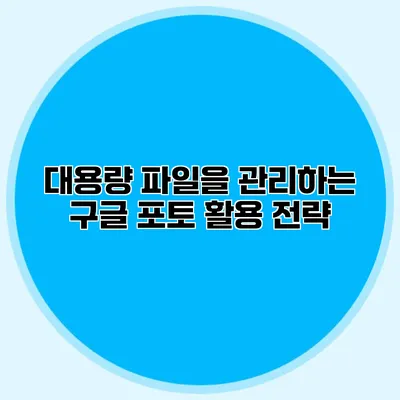 대용량 파일을 관리하는 구글 포토 활용 전략