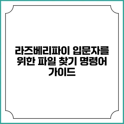 라즈베리파이 입문자를 위한 파일 찾기 명령어 가이드