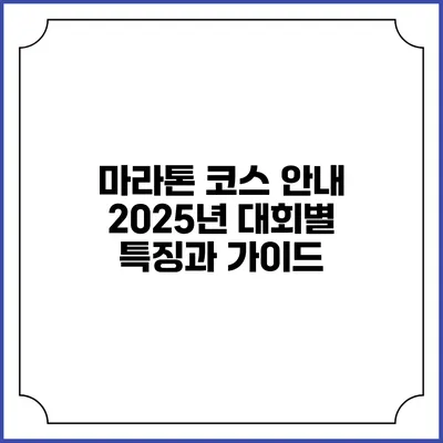 마라톤 코스 안내: 2025년 대회별 특징과 가이드