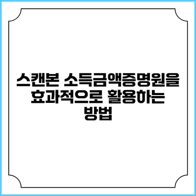 스캔본 소득금액증명원을 효과적으로 활용하는 방법