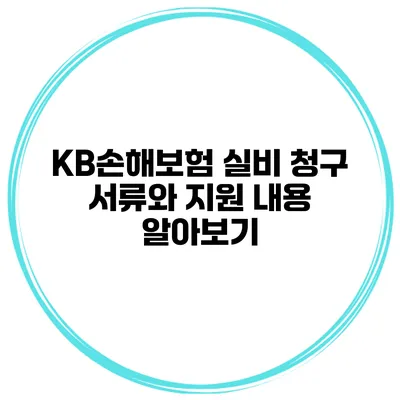 KB손해보험 실비 청구 서류와 지원 내용 알아보기
