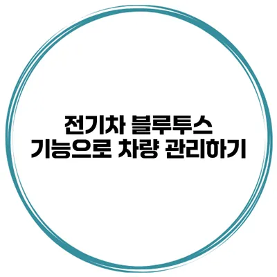 전기차 블루투스 기능으로 차량 관리하기