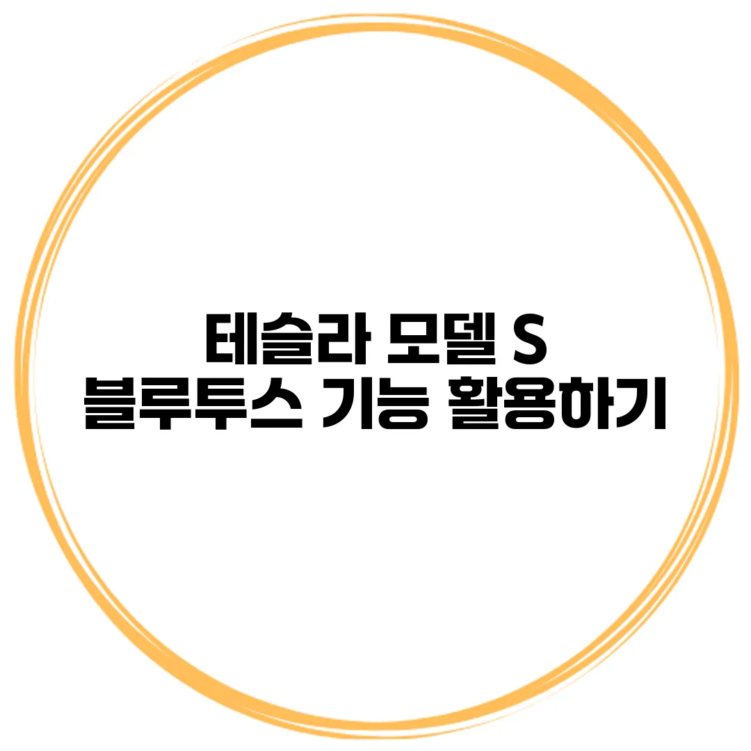 테슬라 모델 S 블루투스 기능 활용하기